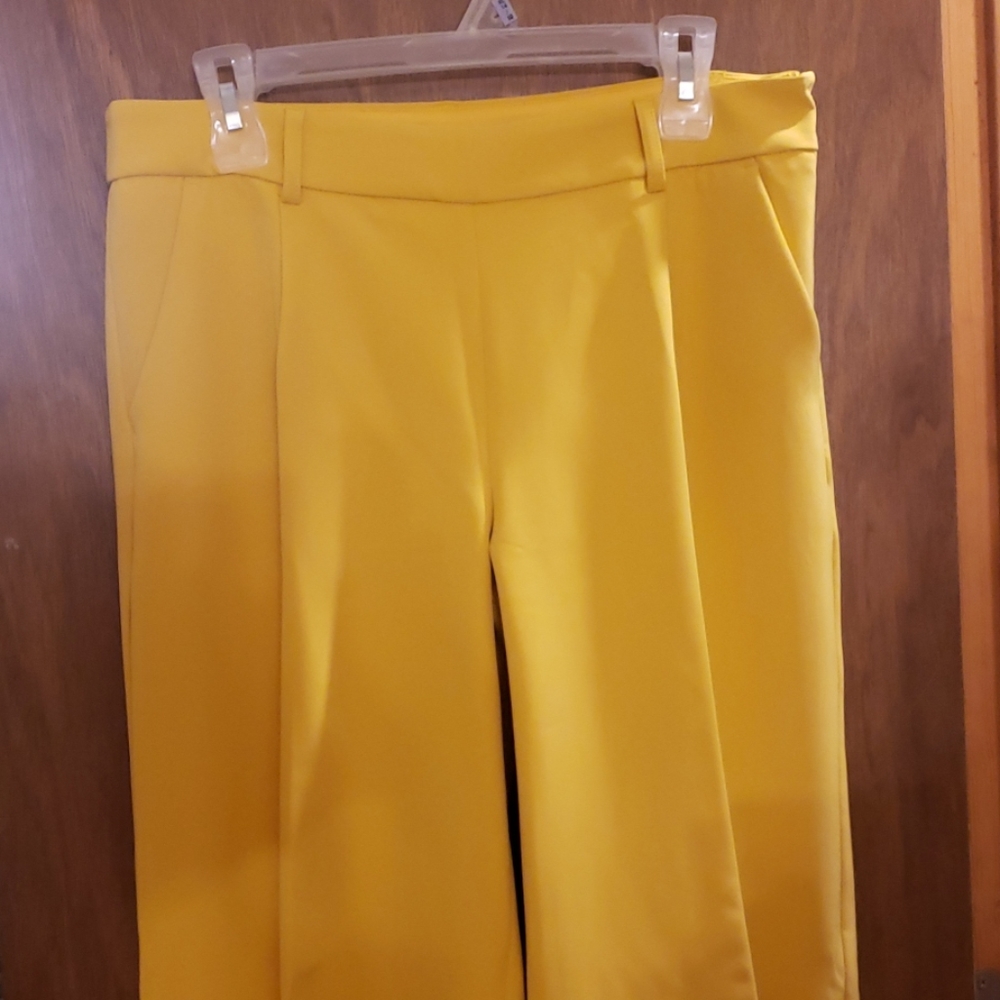 Express Mustard Dress Pants